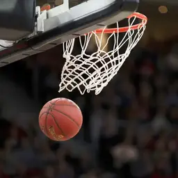 Western Conference Champion?